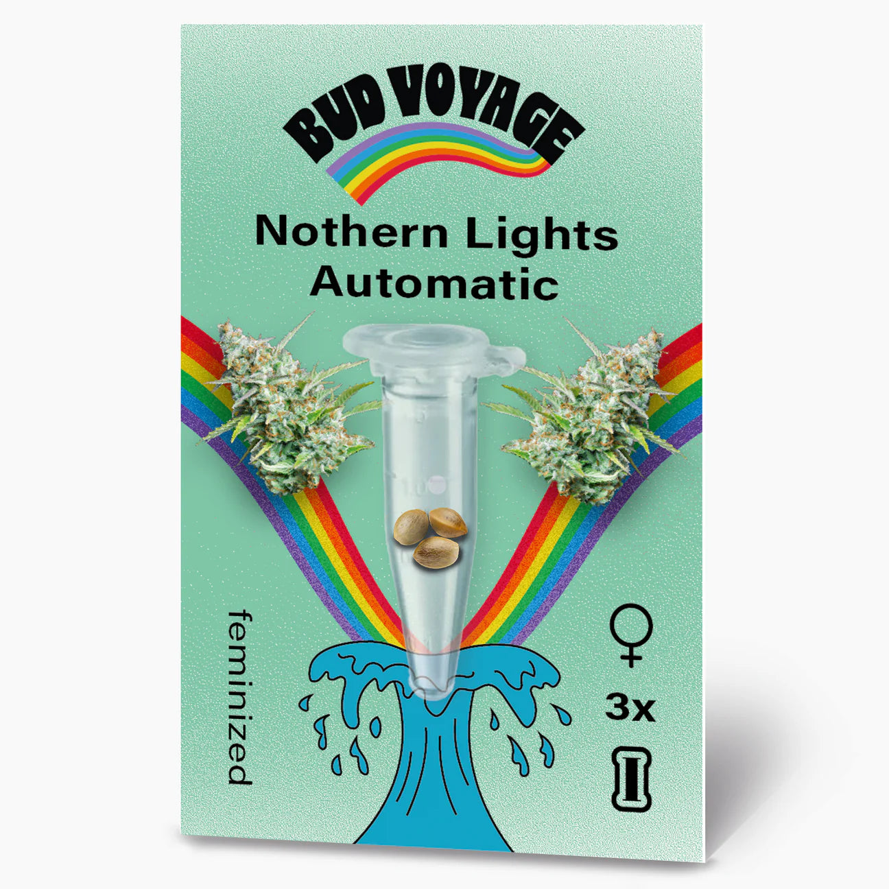 BudVoyage Northern Lights Auto – Die robuste und vielseitige Indica-Sorte