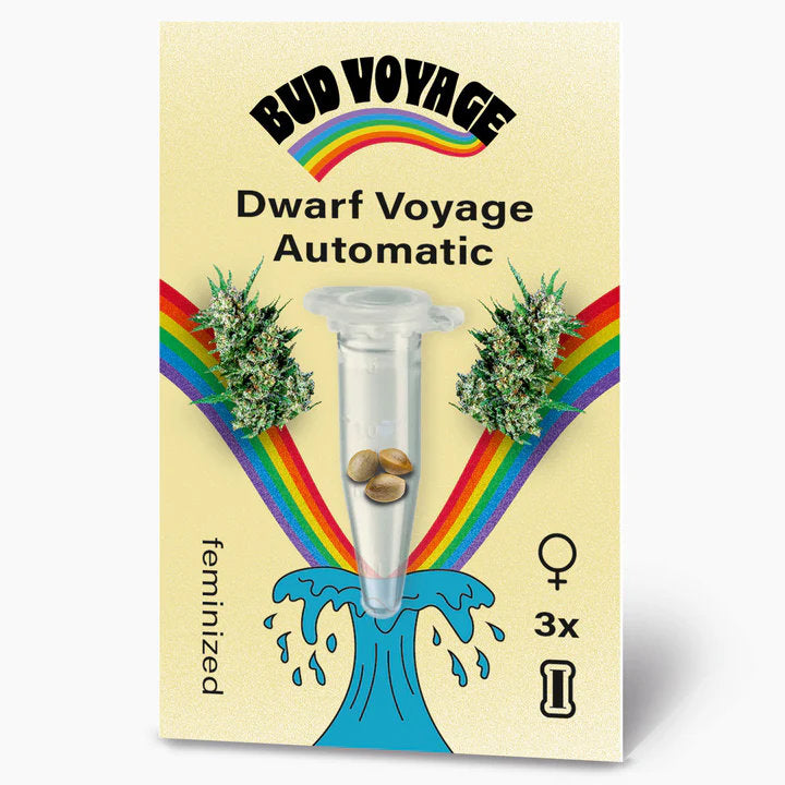 Dwarf Voyage: Kompakte Autoflower für schnellen Anbau und ausgewogene Effekte