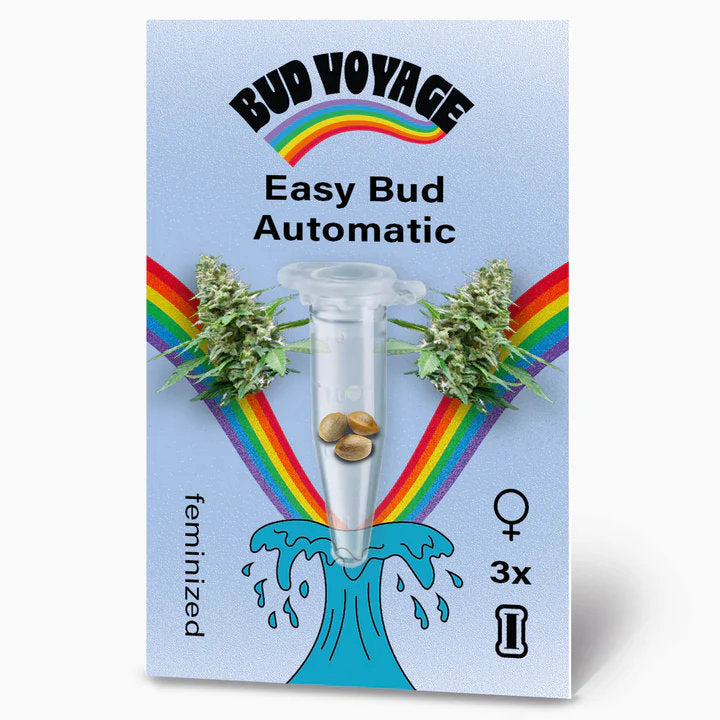 Easy Bud: Die perfekte Autoflower für Anfänger und schnelle Ernten