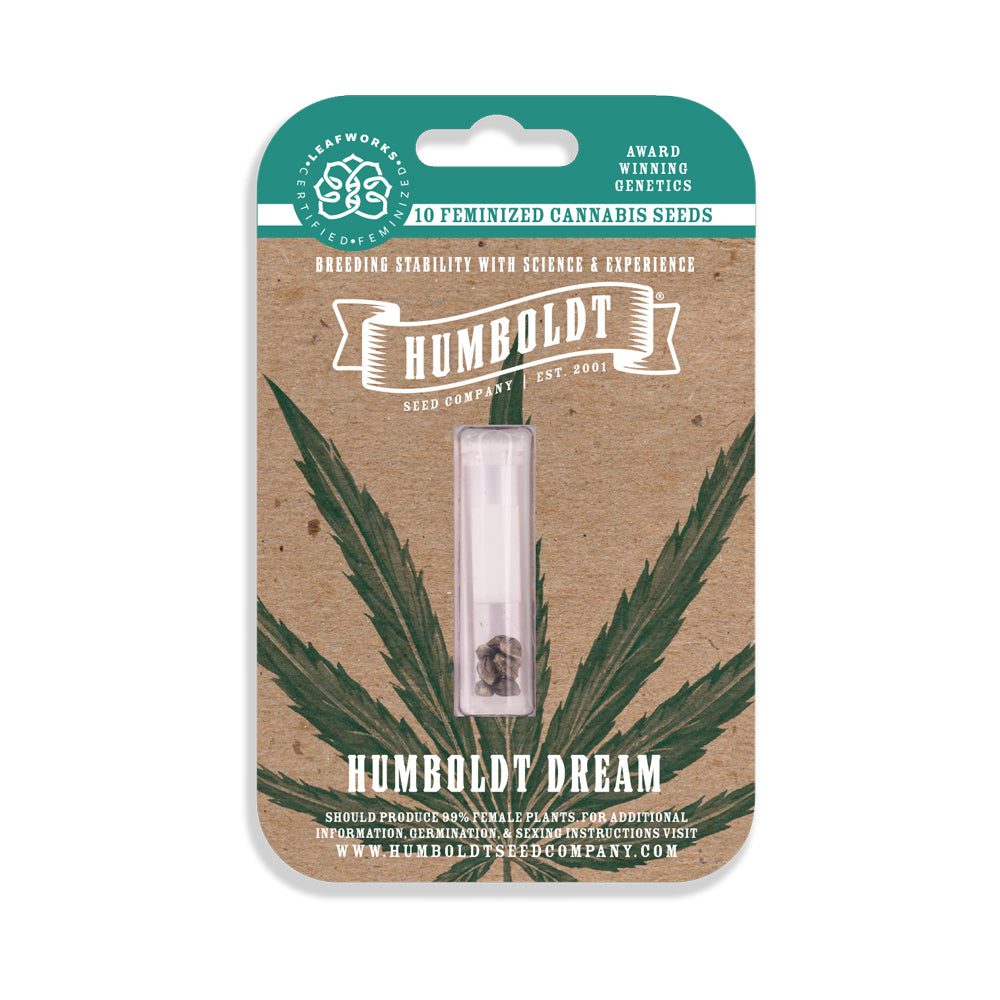 Humboldt Dream: Eine Hommage an Blue Dream und das perfekte Erlebnis für Cannabisliebhaber