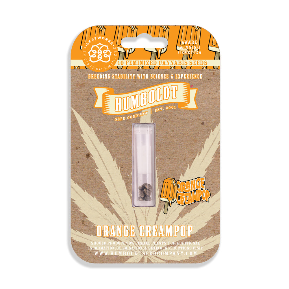 Orange Creampop Cannabissamen – Ein Dessert für die Sinne!