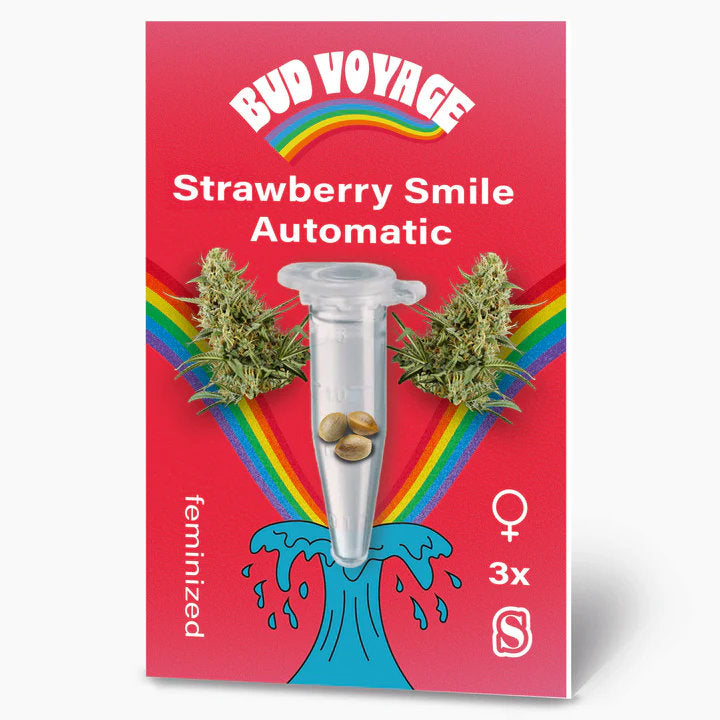 Bud Voyage Strawberry Smile Auto: Fruchtiges Aroma und energetisierendes High für kreative Momente